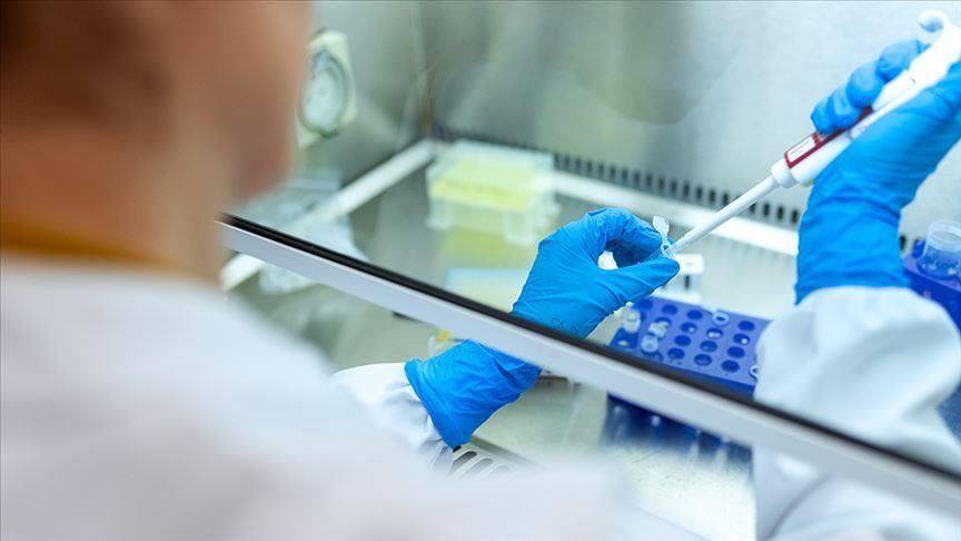 Cure for COVID-19 Finally Found? What Scientists Claim