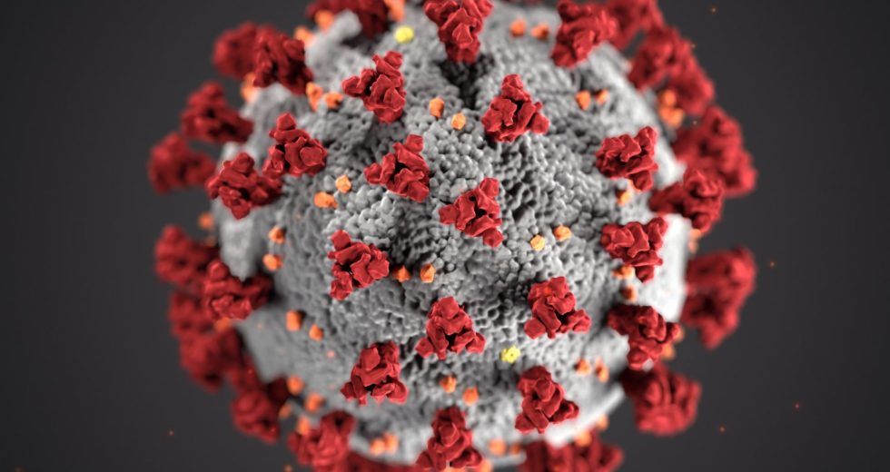 Examining Feces Could Help Humanity Fight COVID-19
