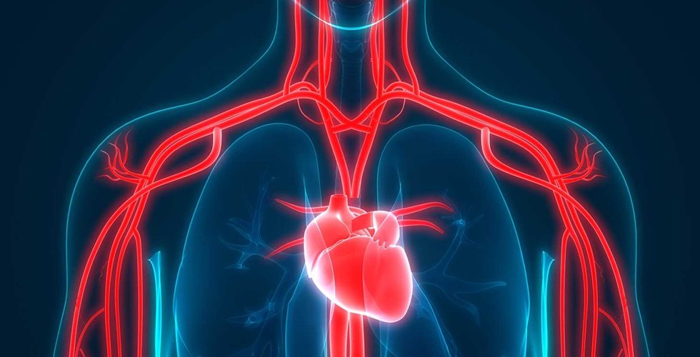 Sleep and your Heart Health