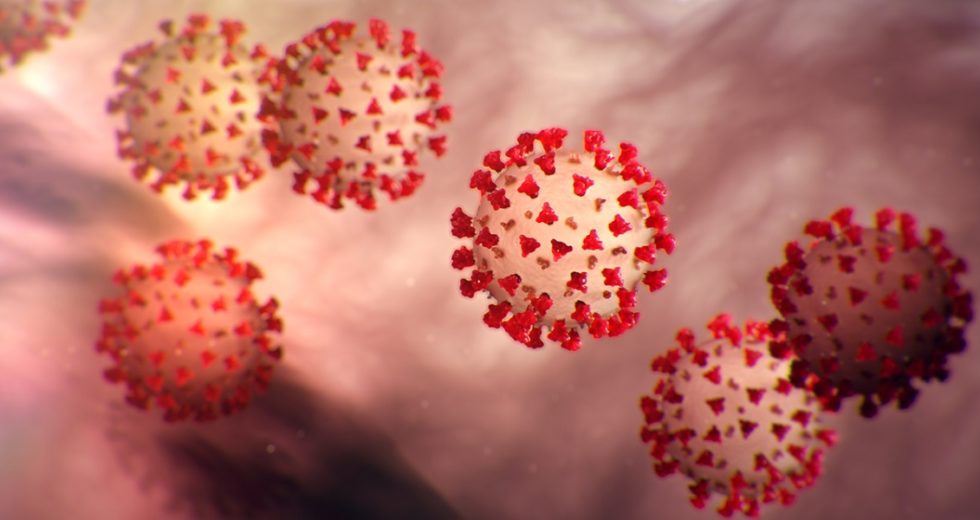 Is COVID-19 Airborne? Hundreds of Researchers versus the World Health Organization: Who Is Right? You Decide