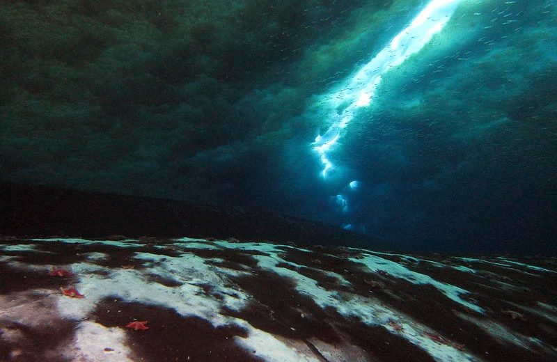 Researchers Have Uncovered the First Active Methane Seep in the Antarctica Ever