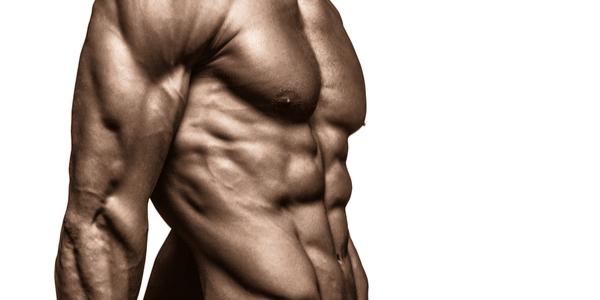 SARMs in bodybuilding