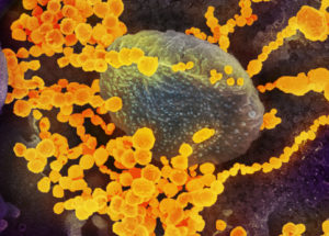 The Risk of Infection with STD’s is On The Rise, and Scientists Propose Methods of Protection