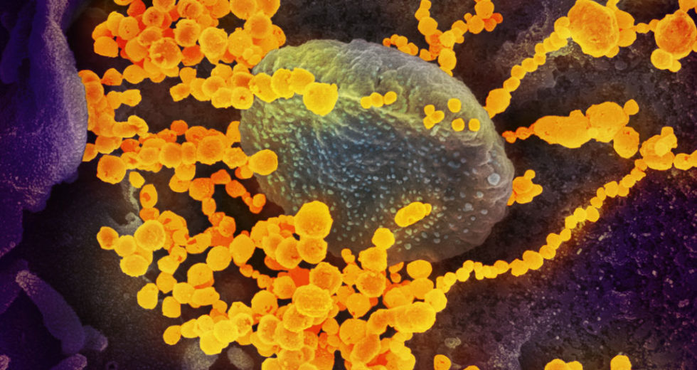 The Risk of Infection with STD’s is On The Rise, and Scientists Propose Methods of Protection