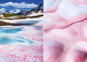 Watermelon Snow: Pink Snow In The Alps Is A Red Flag
