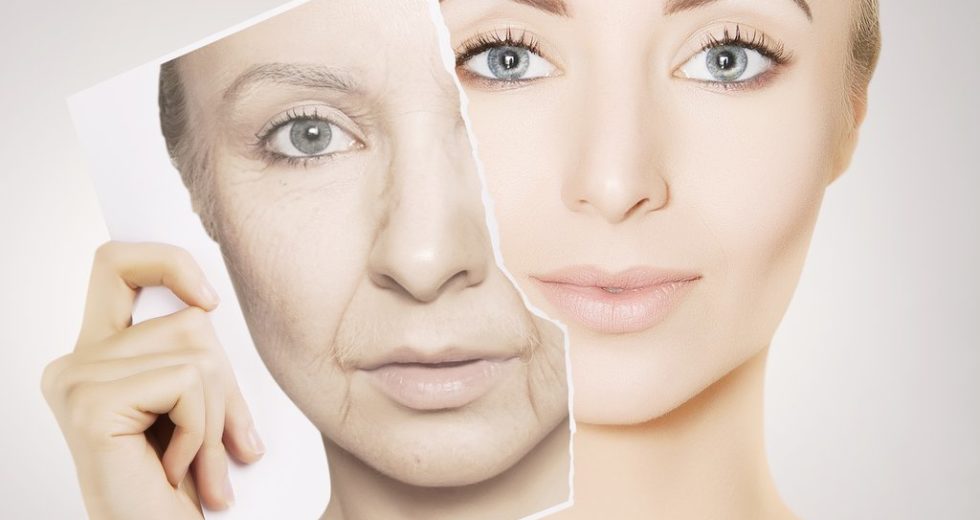 Healthy Aging Through Plant-Based Diets