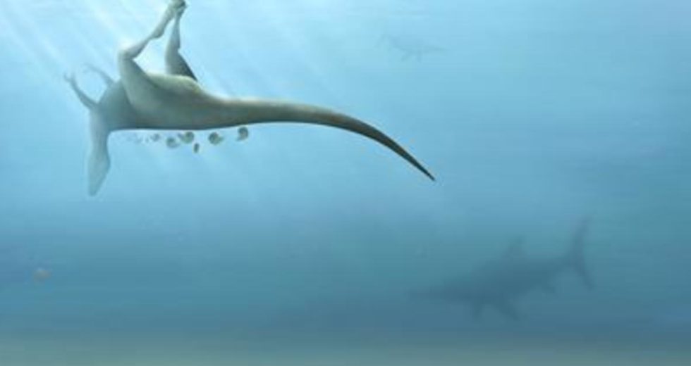 A New Species of Dinosaur Closely Related to the Tyrannosaurus Rex Recently Discovered in England