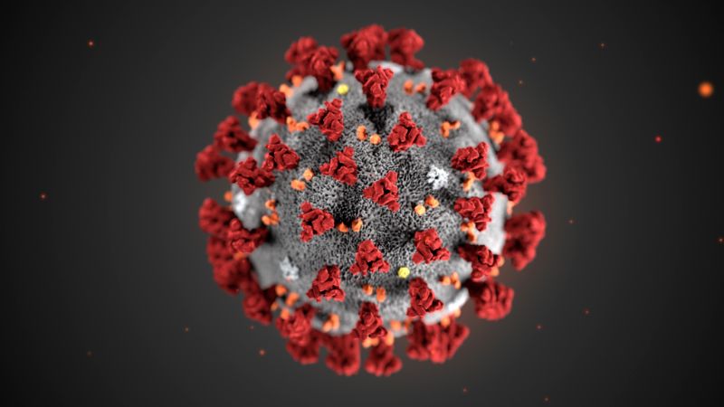 Going to Zero Covid-19 Cases Before the Apparition of a Vaccine: How Is That Possible?