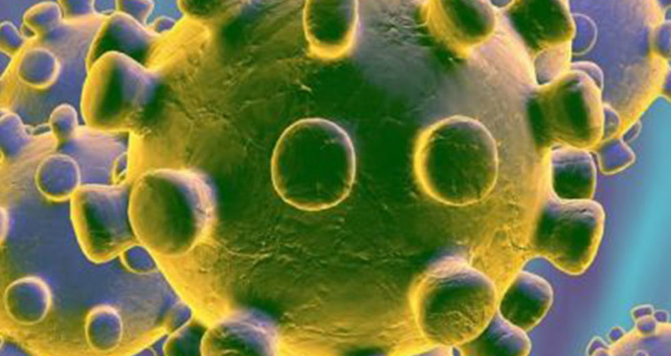 How Hydroxychloroquine Was Administered at 2 Nursing Homes Without Approval