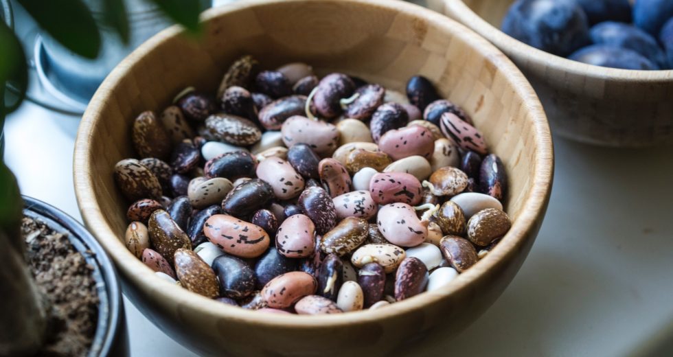 How Can Iron Boost Your Health And Well-being?