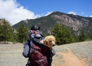 9 Things to Always Keep in Your Hiking Backpack