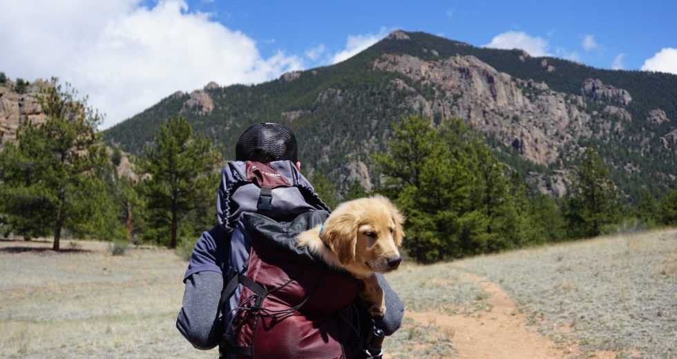 9 Things to Always Keep in Your Hiking Backpack