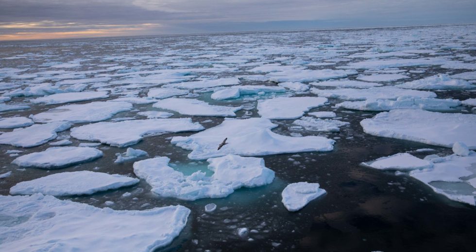 Climate Change Shrinks Arctic Sea Ice Alarmingly Much
