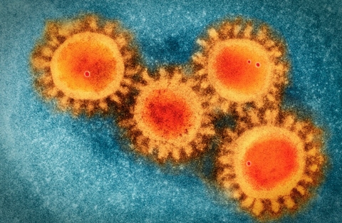 Coronavirus Mutation Might Render Masks And Hand-Washing Useless