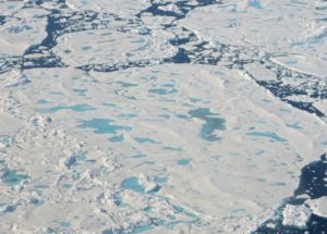 The Arctic Is in Danger and We Should Be Worried