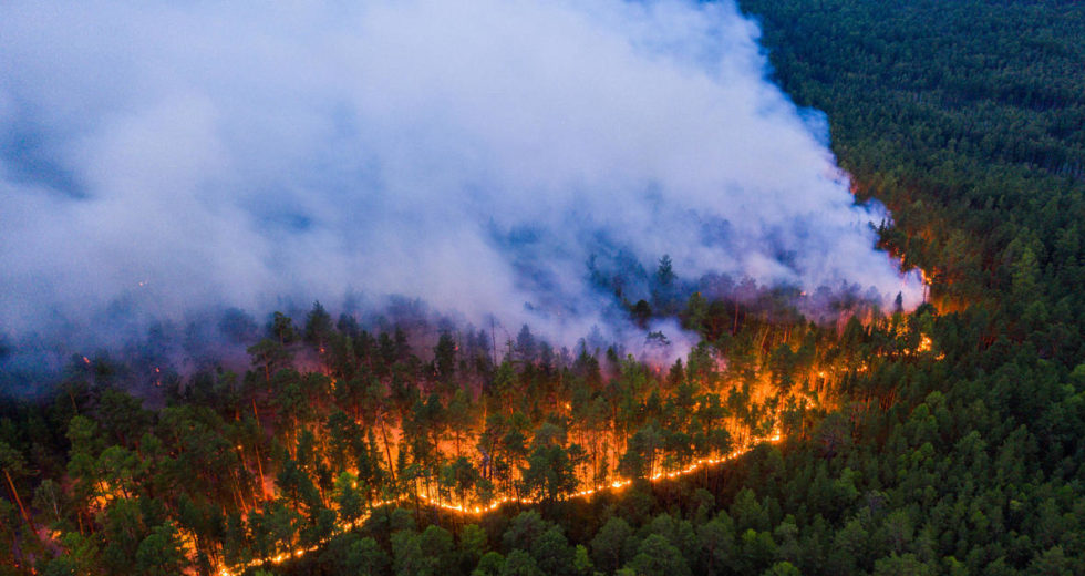 “Zombie Fires” Effects In The Arctic