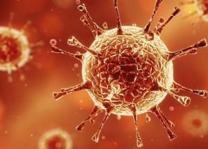 Coronavirus Immunity Can Last For Months, New Report Says