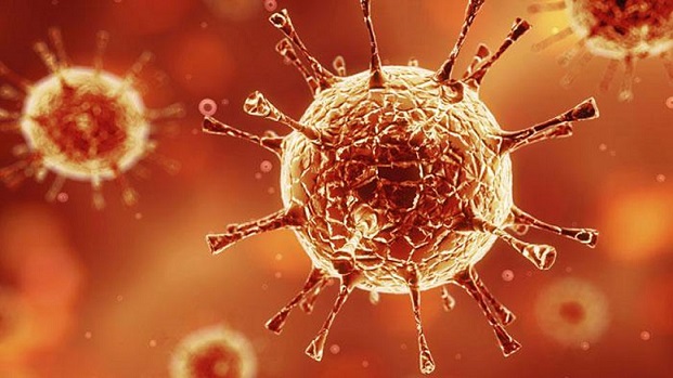 Coronavirus Immunity Can Last For Months, New Report Says