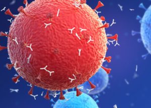 The New Coronavirus Strains – How Alarmed Should We Be?