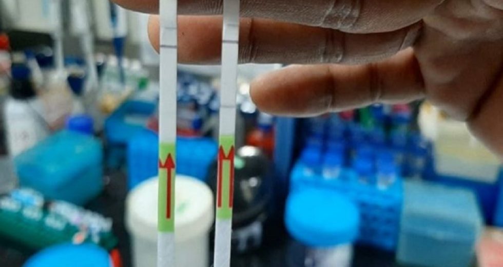 India’s New COVID-19 Test Is Cheaper and Better