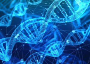 Researchers Discovered New Transposon-Derived Genes Related To Autism And Similar Diseases