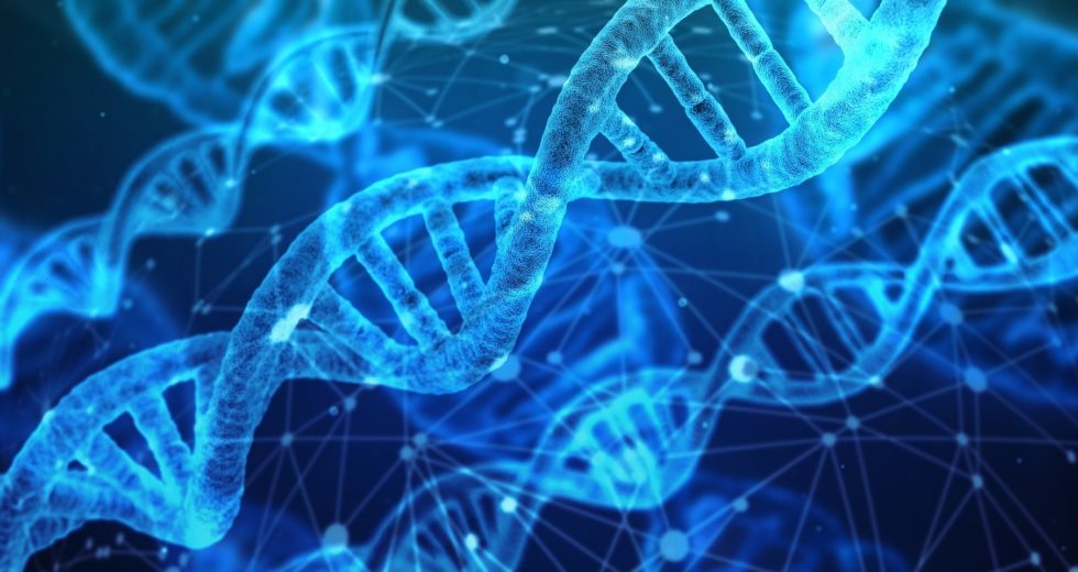 Researchers Discovered New Transposon-Derived Genes Related To Autism And Similar Diseases