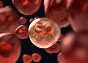 Lifestyle And Diet During Pregnancy Related To Infant DNA Mutations