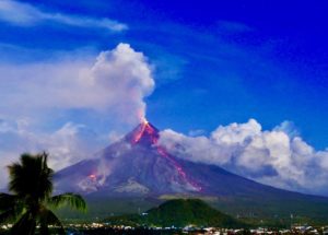 The “Extinct” Pinatubo Volcano Mouse Rediscovered On A Volcano That Erupted Three Decades Ago!