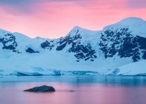 Antarctica’s Ice Shelves Reveal More Life Than Expected – See The Strange Creatures Discovered