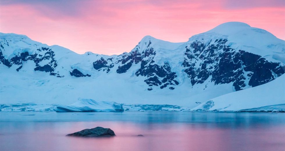Antarctica’s Ice Shelves Reveal More Life Than Expected – See The Strange Creatures Discovered