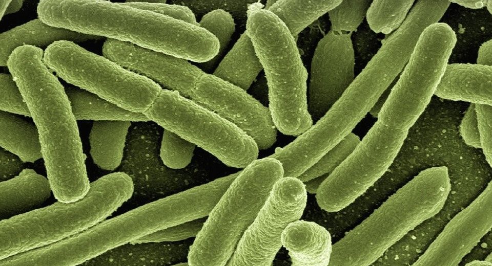 How to Reduce the Spread of Infection at Work