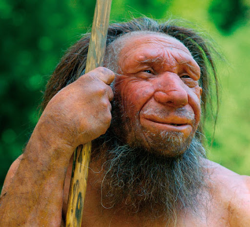 48,000-Year-Old Fossil Suggests Interbreeding Between Neanderthals And Humans
