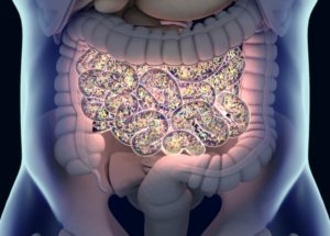 Importance of Checking Your Microbiome to Improve Health