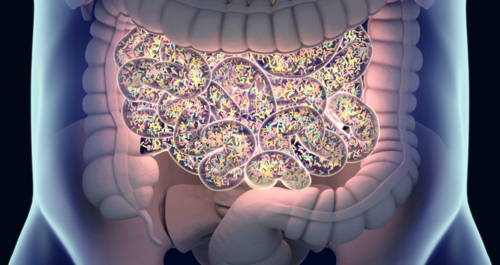 Importance of Checking Your Microbiome to Improve Health