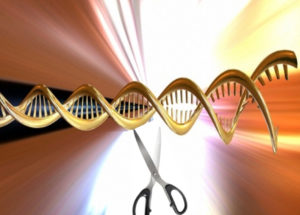 CRISPR Modifications To Mitochondria May Lead To New Biotech