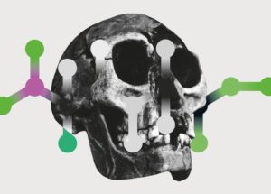 Revealing Ancestry In The Evolution Of Homo Sapiens – The Origins Of Our Species!