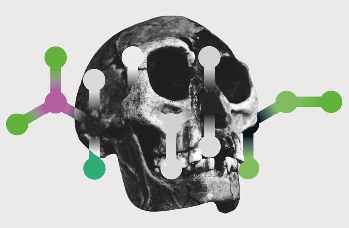 Revealing Ancestry In The Evolution Of Homo Sapiens – The Origins Of Our Species!
