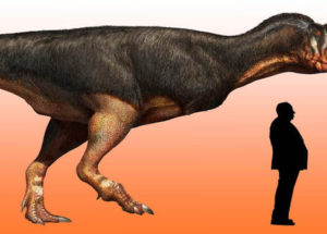 Scientists Discovered New Dinosaurs Size
