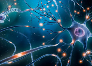 Patients With Schizophrenia Show Unique Differences in Neurons