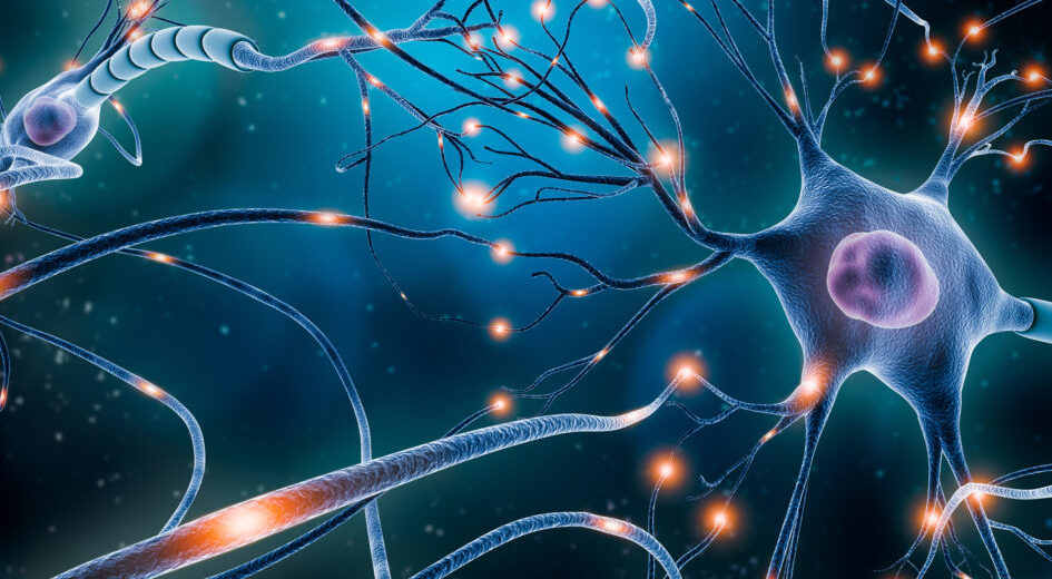 Patients With Schizophrenia Show Unique Differences in Neurons