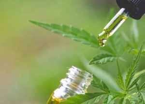 CBD Isolate vs. Full-Spectrum CBD Oil
