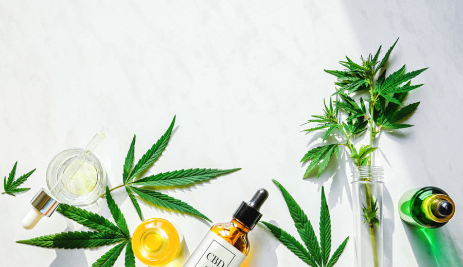 CBD for Beginners – Benefits and Potential side effects
