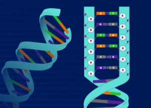 UTI Bacteria Produces Custom DNA Building Blocks From Human Urine!