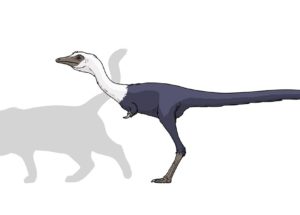 A Team Of Palaeontologists Found A Cat-Sized Stegosaur