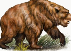 First In History! Ancient Bear DNA Sequenced From Cave Dirt!