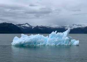 More Than 30% Of The Antarctic Ice Shelf May Collapse As Climate Change Damages Earth Furthermore