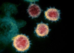 Breaking: Fauci Finally Admits Covid 19 Connection To Wuhan Lab Leak; His Emails Are Exposed