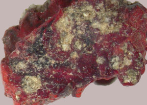 “Forbidden” Quasicrystal Discovered In The Remains Of A Nuclear Bomb Test