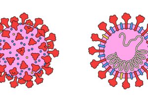 Study Shows That Certain Viruses Have An Entirely Different Genome Than Anything Else On Earth!