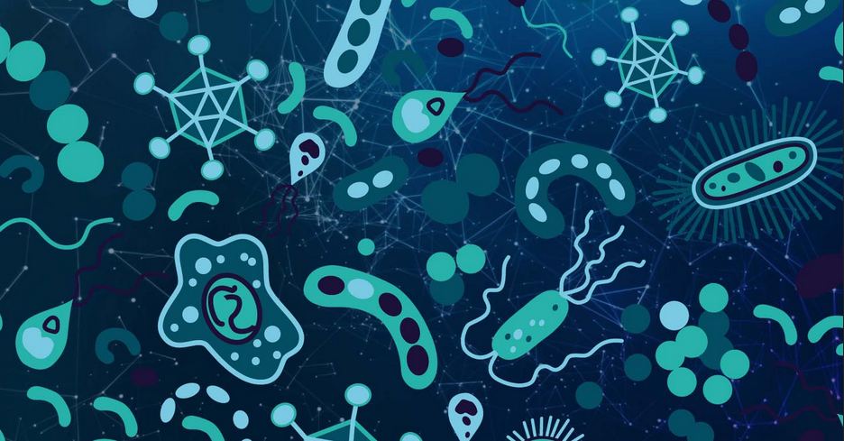 Synbiotics Are Said to Support Your Gut Health, But Are They the New Probiotics?